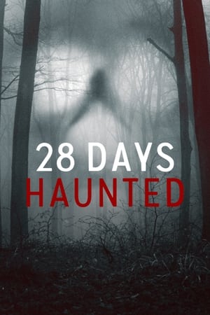 28 Días Paranormales Online gratis