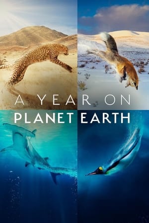 A Year on Planet Earth Temporada 1 online gratis