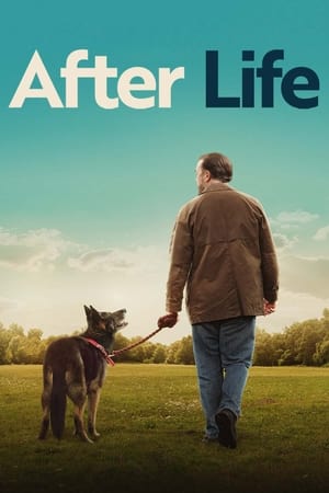 After Life T 3 C 4 online gratis