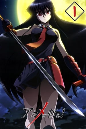 Akame ga Kill! T 1 C 11 online gratis