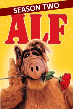 ALF T 2 C 14 online gratis