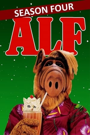 ALF T 4 C 8 online gratis