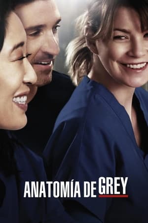 Anatomía de Grey T 10 C 12 online gratis