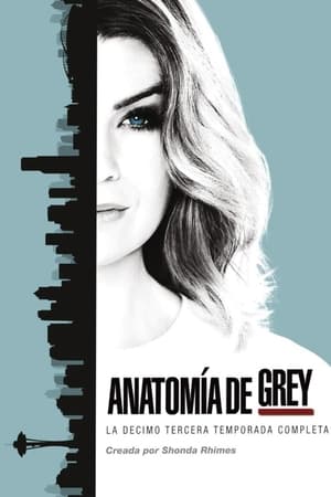 Anatomía de Grey T 13 C 24 online gratis