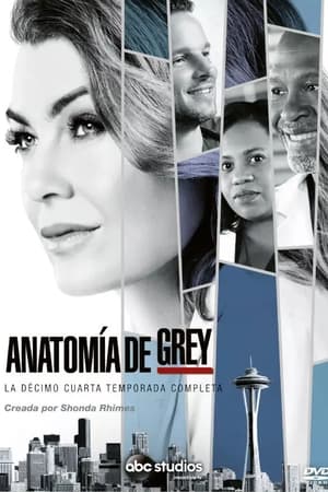 Anatomía de Grey T 14 C 8 online gratis