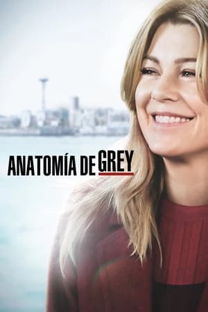 Anatomía de Grey T 15 C 23 online gratis