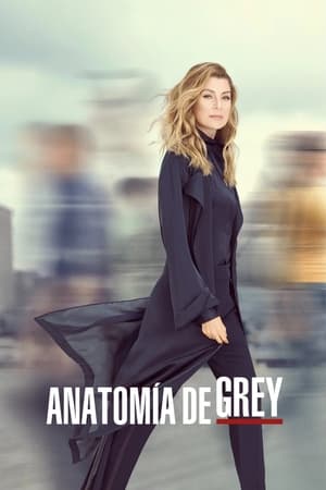 Anatomía de Grey T 16 C 6 online gratis