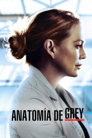 Anatomía de Grey Temporada 17 online gratis