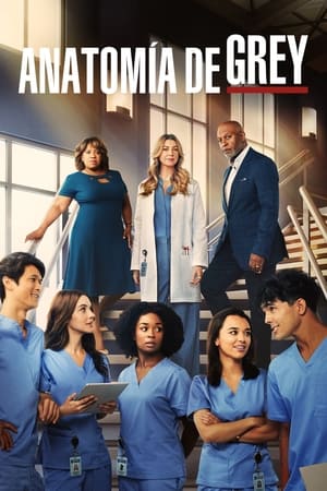 Anatomía de Grey Temporada 19 online gratis