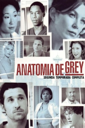 Anatomía de Grey Temporada 2 online gratis