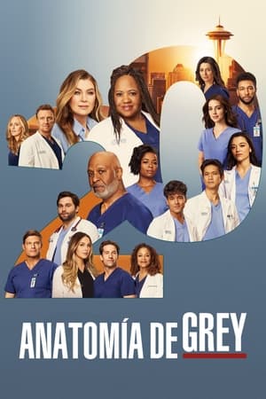 Anatomía de Grey Temporada 20 online gratis