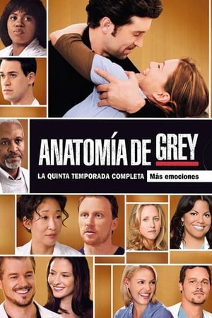 Anatomía de Grey T 5 C 5 online gratis