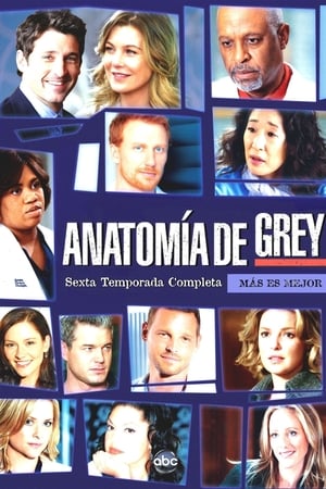 Anatomía de Grey T 6 C 10 online gratis