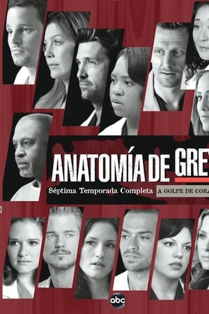 Anatomía de Grey T 7 C 6 online gratis