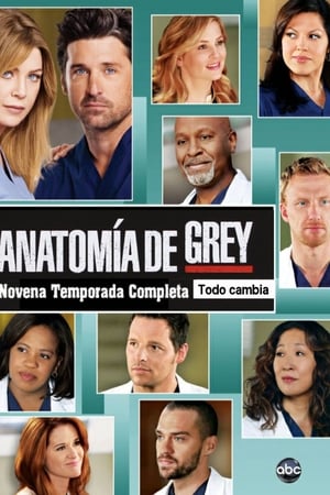 Anatomía de Grey Temporada 9 online gratis