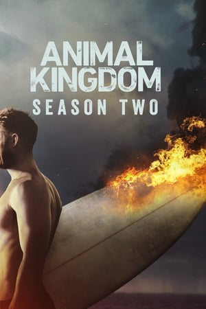 Animal Kingdom T 2 C 2 online gratis