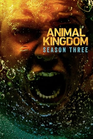 Animal Kingdom T 3 C 10 online gratis