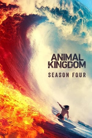 Animal Kingdom temporada  4 online