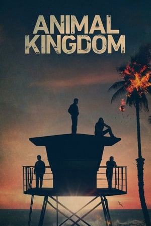 Animal Kingdom Temporada 5 online gratis