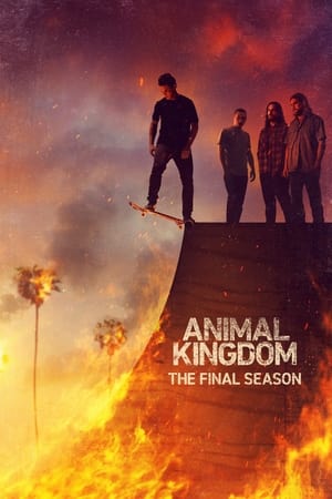 Animal Kingdom T 6 C 4 online gratis