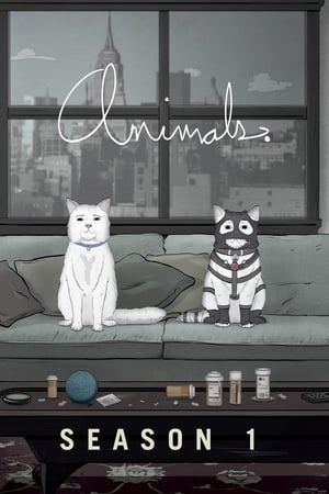 Animals. T 1 C 4 online gratis