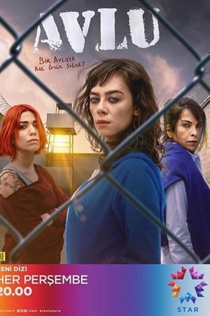 Avlu: El patio Temporada 1 online gratis