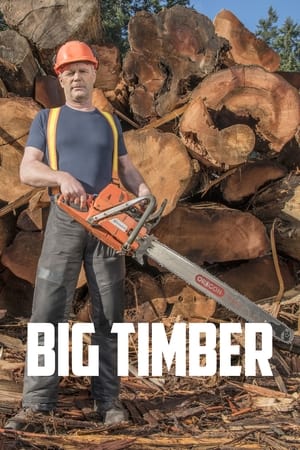 Big Timber T 1 C 5 online gratis