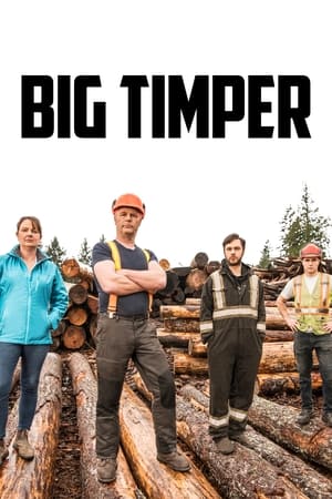 Big Timber T 2 C 2 online gratis