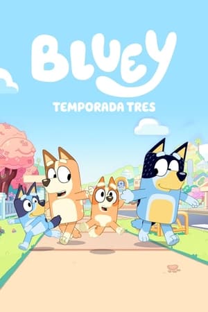 Bluey T 3 C 35 online gratis