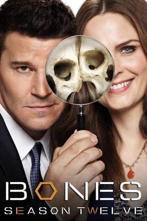 Bones temporada  12 online