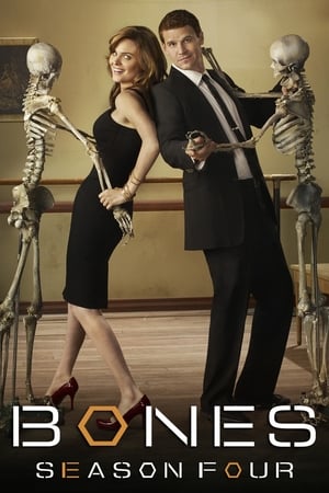 Bones T 4 C 17 online gratis