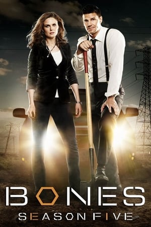 Bones T 5 C 11 online gratis