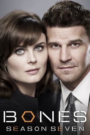 Bones Temporada 7 online gratis