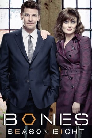 Bones T 8 C 4 online gratis