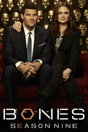 Bones T 9 C 24 online gratis