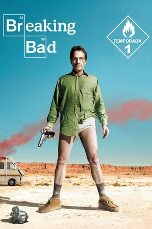 Breaking Bad T 1 C 7 online gratis