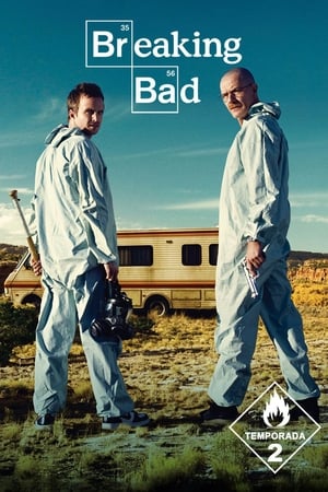 Breaking Bad T 2 C 9 online gratis