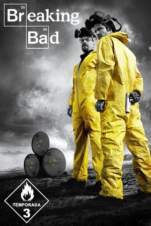 Breaking Bad T 3 C 3 online gratis