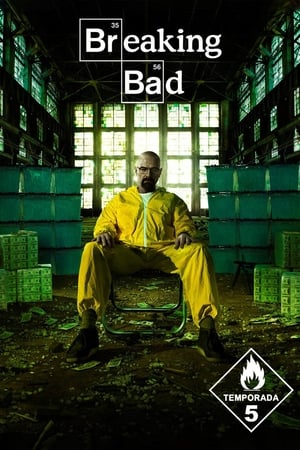 Breaking Bad T 5 C 15 online gratis