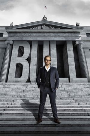 Bull T 2 C 13 online gratis