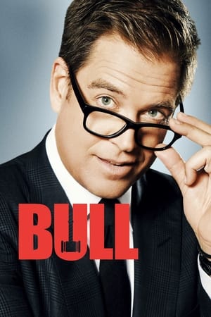 Bull T 3 C 1 online gratis