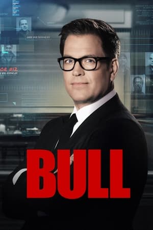 Bull T 6 C 21 online gratis