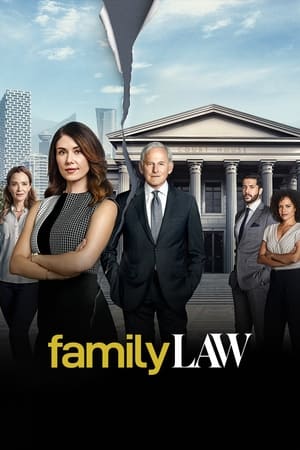 Casos de familia temporada  1 online