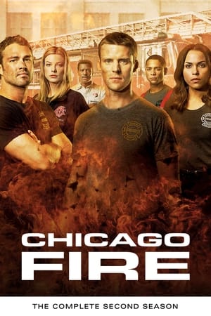 Chicago Fire T 2 C 6 online gratis