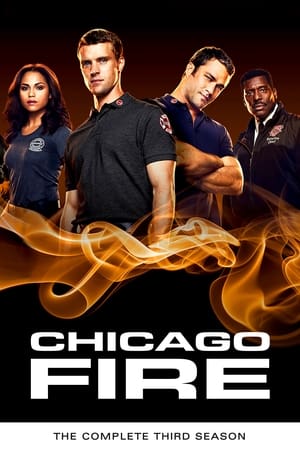 Chicago Fire T 3 C 8 online gratis