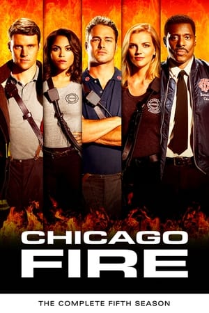 Chicago Fire T 5 C 13 online gratis