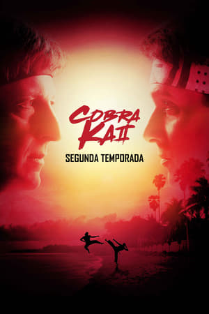 Cobra Kai T 2 C 5 online gratis