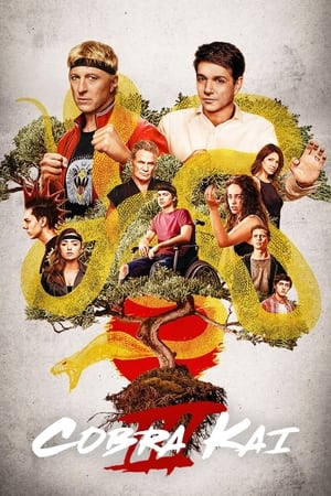 Cobra Kai T 3 C 4 online gratis