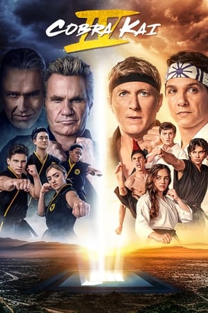 Cobra Kai Temporada 4 online gratis