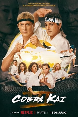 Cobra Kai Temporada 6 online gratis